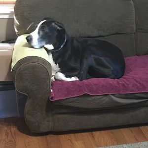 Meet your Posher, Sue